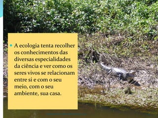 CAMPANHA FRATERNIDADE 2017 25
 A ecologia tenta recolher
os conhecimentos das
diversas especialidades
da ciência e ver como os
seres vivos se relacionam
entre si e com o seu
meio, com o seu
ambiente, sua casa.
 