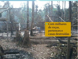 CAMPANHA FRATERNIDADE 2017 94
 Com milhares
de roças,
pertences e
casas destruídas
Ataque em Nova
Guarita MT
 