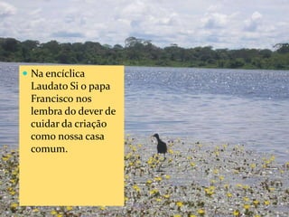 CAMPANHA FRATERNIDADE 2017 28
 Na encíclica Laudato Si o
papa Francisco nos lembra
do dever de cuidar da
criação como nossa casa
comum.
 Os moradores da Amazônia
temos o privilégio de estar
chamados a administrar e
cuidar este pedaço
maravilhoso da Criação que é
a região amazônica.
 O bioma amazônico é um dos
mais ricos em vida e
diversidade de todo o mundo.
 Um lugar bom para se viver
desde milhares de anos.
 Na encíclica
Laudato Si o papa
Francisco nos
lembra do dever de
cuidar da criação
como nossa casa
comum.
 