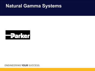 Natural Gamma Systems
 