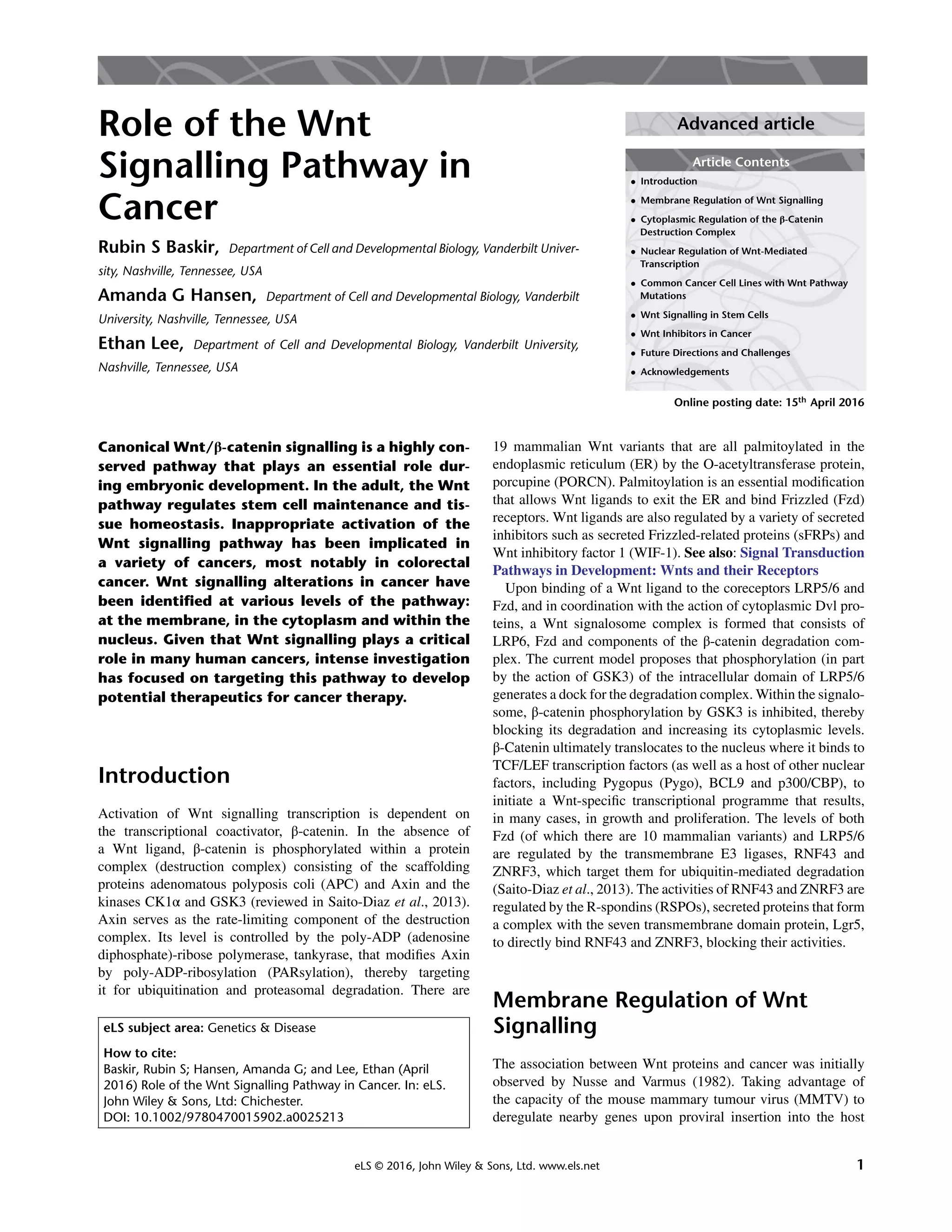 Role of Wnt Signaling in Cancer | PDF