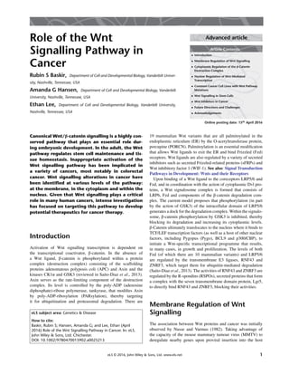 Role of Wnt Signaling in Cancer | PDF