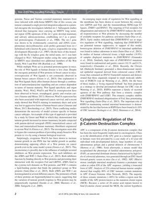 Role of Wnt Signaling in Cancer | PDF