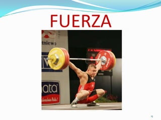 FUERZA

15

 