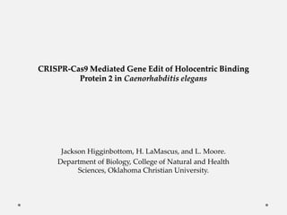 CRISPR-Cas9 Mediated Gene Edit of Holocentric Binding
Protein 2 in Caenorhabditis elegans
Jackson Higginbottom, H. LaMascus, and L. Moore.
Department of Biology, College of Natural and Health
Sciences, Oklahoma Christian University.
 
