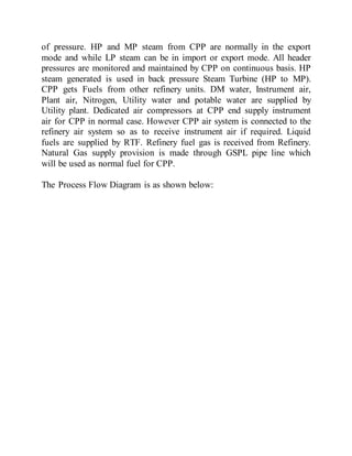 CPP VT Report | DOCX