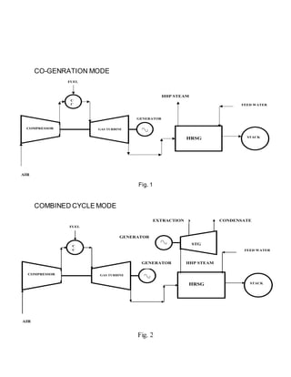 CPP VT Report | DOCX