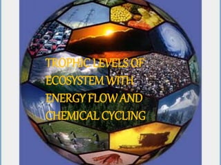 TROPHIC LEVELS OF
ECOSYSTEM WITH
ENERGY FLOW AND
CHEMICAL CYCLING
 