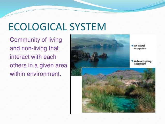 ecological ppt rome fontanacountryinn com ecology powerpoint