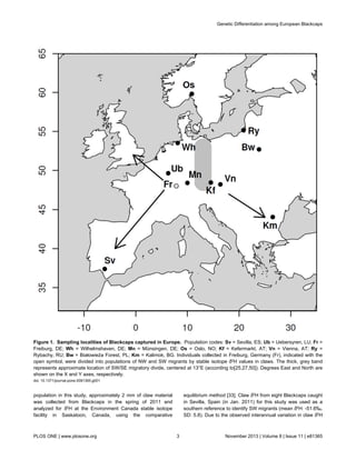 population in this study, approximately 2 mm of claw material
was collected from Blackcaps in the spring of 2011 and
analyzed for δ2
H at the Environment Canada stable isotope
facility in Saskatoon, Canada, using the comparative
equilibrium method [33]. Claw δ2
H from eight Blackcaps caught
in Sevilla, Spain (in Jan. 2011) for this study was used as a
southern reference to identify SW migrants (mean δ2
H: -51.6‰,
SD: 5.8). Due to the observed interannual variation in claw δ2
H
Figure 1. Sampling localities of Blackcaps captured in Europe. Population codes: Sv = Sevilla, ES; Ub = Uebersyren, LU; Fr =
Freiburg, DE; Wh = Wilhelmshaven, DE; Mn = Münsingen, DE; Os = Oslo, NO; Kf = Kefermarkt, AT; Vn = Vienna, AT; Ry =
Rybachy, RU; Bw = Białowieża Forest, PL; Km = Kalimok, BG. Individuals collected in Freiburg, Germany (Fr), indicated with the
open symbol, were divided into populations of NW and SW migrants by stable isotope δ2
H values in claws. The thick, grey band
represents approximate location of SW/SE migratory divide, centered at 13°E (according to[25,27,50]). Degrees East and North are
shown on the X and Y axes, respectively.
doi: 10.1371/journal.pone.0081365.g001
Genetic Differentiation among European Blackcaps
PLOS ONE | www.plosone.org 3 November 2013 | Volume 8 | Issue 11 | e81365
 