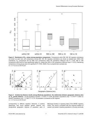 corresponding to different migratory behaviors. A positive
relationship was found between genetic distance and
(longitudinal) geographic distance of population pairs of
Blackcaps located on opposing sides of the SW/SE migratory
divide. This result is consistent with the historical isolation of
western and eastern breeding populations in Europe previously
Figure 2. Distribution of Dest values among population comparisons. Comparisons within NW, SW, SE migratory orientations
are shown as open bars and comparisons among NW, SW, SE migratory orientations are shown as shaded bars. Within SW
orientations, Dest comparisons did not differ from comparisons within SE orientations (Wilcoxon test P > 0.05). NW vs. SW
comparisons were found to have significantly higher Dest values than SW vs. SE comparisons (Wilcoxon test P = 0.013). Remaining
comparisons among groups were non-significant (P > 0.05). Width of bar is proportional to sample size.
doi: 10.1371/journal.pone.0081365.g002
Figure 3. Isolation-by-distance results among Blackcap populations: the relationship between geographic distance (km)
vs. Dest genetic distance. (A) All populations included: r = 0.424, P = 0.045; (B) Eastern populations only: r = 0.744 P = 0.008; (C)
Western populations only: r = 0.364, P = 0.174. Os population considered as SW migrants.
doi: 10.1371/journal.pone.0081365.g003
Genetic Differentiation among European Blackcaps
PLOS ONE | www.plosone.org 7 November 2013 | Volume 8 | Issue 11 | e81365
 