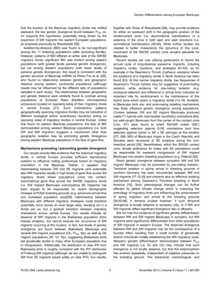 that the location of the Blackcap migratory divide has shifted
eastward; the low genetic divergence found between FrNW vs.
Vn supports this hypothesis, potentially being driven by the
expansion of SW migrants into eastern European populations,
as proposed previously by Wesołowski [58].
Isolation-by-distance (IBD) was found to be non-significant
among the 11 breeding populations (after excluding Sevilla).
However, patterns of IBD differed on either side of the SW/SE
migratory divide: significant IBD was evident among eastern
populations (with greater levels pairwise genetic divergence),
but not among western populations (with lower levels of
pairwise genetic divergence); this result is consistent with the
genetic structure of Blackcap mtDNA by Pérez-Tris et al. [28],
who found no relationship between genetic and geographic
distance among western continental populations (although
results may be influenced by the different sets of populations
sampled in each study). The relationships between geographic
and genetic distance were similarly found to contrast among
populations of Eurasian Reed Warblers (Acrocephalus
scirpaceus) located on opposing sides of their migratory divide
in central Europe [31]. Such contradictory patterns
geographically spanning migratory divides may be indicative of
different ecological and/or evolutionary dynamics acting on
opposing sides of migratory divides in central Europe. Unlike
that found for eastern Blackcap populations, the lack of IBD
demonstrated among western Blackcap populations (i.e. both
SW and NW migrants) suggests a mechanism other than
geographic isolation may be promoting genetic divergence
among western Blackcap populations in the face of gene flow.
Mechanisms promoting / preventing genetic divergence
Our results provide little evidence that the historical migratory
divide in central Europe provides sufficient reproductive
isolation to influence mating preferences based on migratory
orientation in the Blackcap. Rather, it appears that
interbreeding between SW and SE migrants (and potentially
also NW migrants) results in high levels of gene flow across the
migratory divide where populations come into contact.
Asymmetrical gene flow across the SW/SE migratory divide
(i.e. SW migrant Blackcaps outcompeting SE migrants) has
been argued to be responsible for recent demographic
changes at Polish breeding grounds (e.g. advanced arrival time
and increased population size)[58]; interbreeding between
Blackcaps with different migratory strategies could therefore
potentially occur across an even larger area, resulting not in a
divide per se, but a gradual transition between migratory
orientations across central Europe. Our results indicate an
absence of NW migrants in the Białowieża population (from
isotope analysis), but cannot exclude the occurrence of SW
migrants occurring at this location. In fact, low levels of genetic
divergence are found between Białowieża Blackcaps and
several SW migrant populations (Ub, FrSW, Mn) as well as SE
migrant populations (Kf, Vn, Ry), suggesting Białowieża birds
are genetically similar to many other European population due
to introgression. Additionally, the distribution of claw δ2
H from
Białowieża birds is roughly consistent with the δ2
H distribution
of Freiburg SW migrants (although we are unable to distinguish
SW from SE migrants based solely on claw δ2
H). Our results,
together with those of Wesołowski [58], may provide evidence
for either an eastward shift in the geographic position of the
divide/contact zone (i.e. asymmetrical hybridization) or a
widening of the zone in both east and west directions (i.e.
symmetrical hybridization) [59,60]. While further studies are
needed to better characterize the dynamics of this zone,
movement of the SW/SE contact zone remains plausible for
Blackcaps.
Recent studies are now utilizing geolocators to record the
annual cycle of long-distance passerine migrants, including
migratory routes, durations, and strategies [61,62], as for
example in the Swainson’s Thrush (Catharus ustulatus) where
the existence of a migratory divide in North America has been
found [63]. At this narrow migratory divide, low frequencies of
Swainson’s Thrush hybrids may be suggestive of post-mating
isolation, while evidence for pre-mating isolation (e.g.
ecological selection and difference in arrival time) indicates an
important role for reinforcement in the maintenance of this
hybrid zone which spans a migratory divide [14,19]. Similarly,
in Blackcaps both pre- and post-mating isolating mechanisms
may likely influence genetic divergence among populations.
Crosses between SW and SE migrant Blackcaps produced
viable F1 hybrids with intermediate (southerly) orientations [64],
but wild-caught Blackcaps from the center of the contact zone
(Linz, AT) were found to orient SW-NW (mean 268°)
suggesting selection against S-SE orientations (and thus
selection against hybrid or SE x SE pairings) at this location
[27]. Still, 58% of Blackcaps ringed in the Czech Republic and
Slovakia were recovered at SE locations during the non-
breeding period [35]. Nevertheless, within the SW/SE contact
zone, female preference for males with SE orientations could
be responsible for eastward introgression of SW migrant
Blackcaps into eastern breeding populations (e.g. Poland) [58].
Rapid genetic divergence between sympatric NW and SW
migrant Blackcaps may be promoted by pre-mating isolation.
Temporal isolation in spring arrival to breeding grounds in
southern Germany has been documented between NW and
SW migrants [17,18,30] and presents also an effective isolating
mechanism among Swainson’s Thrushes breeding in North
America [19]. Such phenological changes can be further
affected by global climate change which is impacting the
phenology of migratory birds and influencing the advancement
of spring migration and arrival to the breeding grounds
[58,65,66]. It remains unclear however, if such temporal
divergence is locally adaptive in sympatry only, or if NW and
SW migrants reflect significant divergence also in allopatry.
We not only find evidence of significant genetic differentiation
between NW and SW migrant Blackcaps in sympatry, but NW
migrants were significantly differentiated from other populations
of SW migrants in western Europe. The observed divergence
between NW and SW migrants may be the consequence of a
founder effect resulting from a small number of genetically
distinct individuals initially establishing the NW migratory route.
Allopatric genetic differentiation demonstrated between FrNW
and SW migrants (i.e. Sv and Ub) may indicate that such
divergence is not locally adaptive, but that this polymorphism
has evolved repeatedly, independent of adaptive pressures on
the breeding ground. The behavioral, morphological, and
Genetic Differentiation among European Blackcaps
PLOS ONE | www.plosone.org 9 November 2013 | Volume 8 | Issue 11 | e81365
 