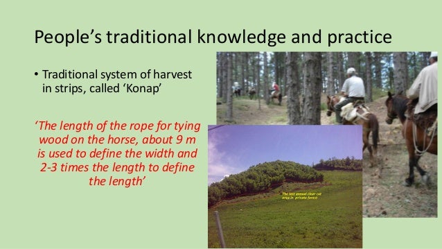 coppice meaning coppice meaning