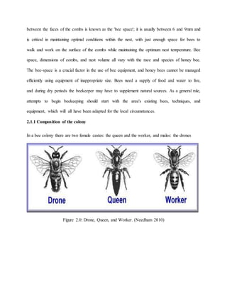Project on Apiculture | DOCX