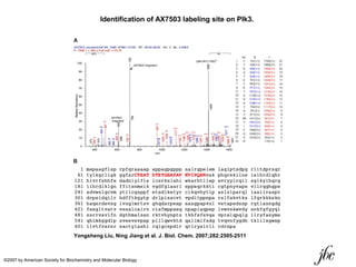 Identification of AX7503 labeling site on Plk3.
Yongsheng Liu, Ning Jiang et al. J. Biol. Chem. 2007;282:2505-2511
©2007 by American Society for Biochemistry and Molecular Biology
 