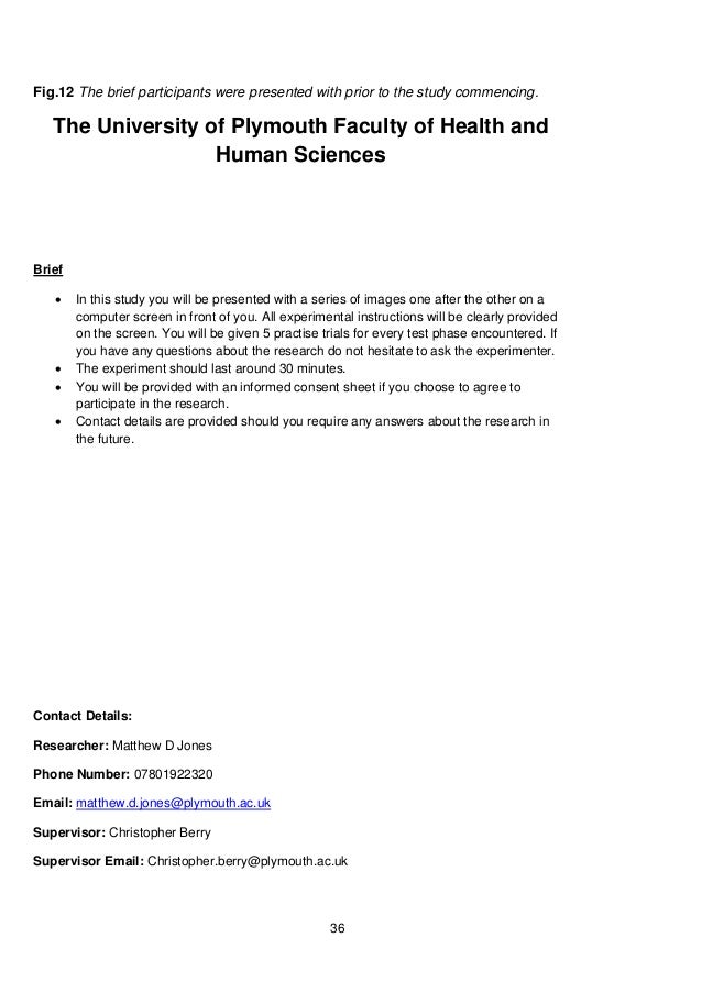 What is a dissertation picture