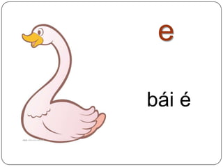 ebáié