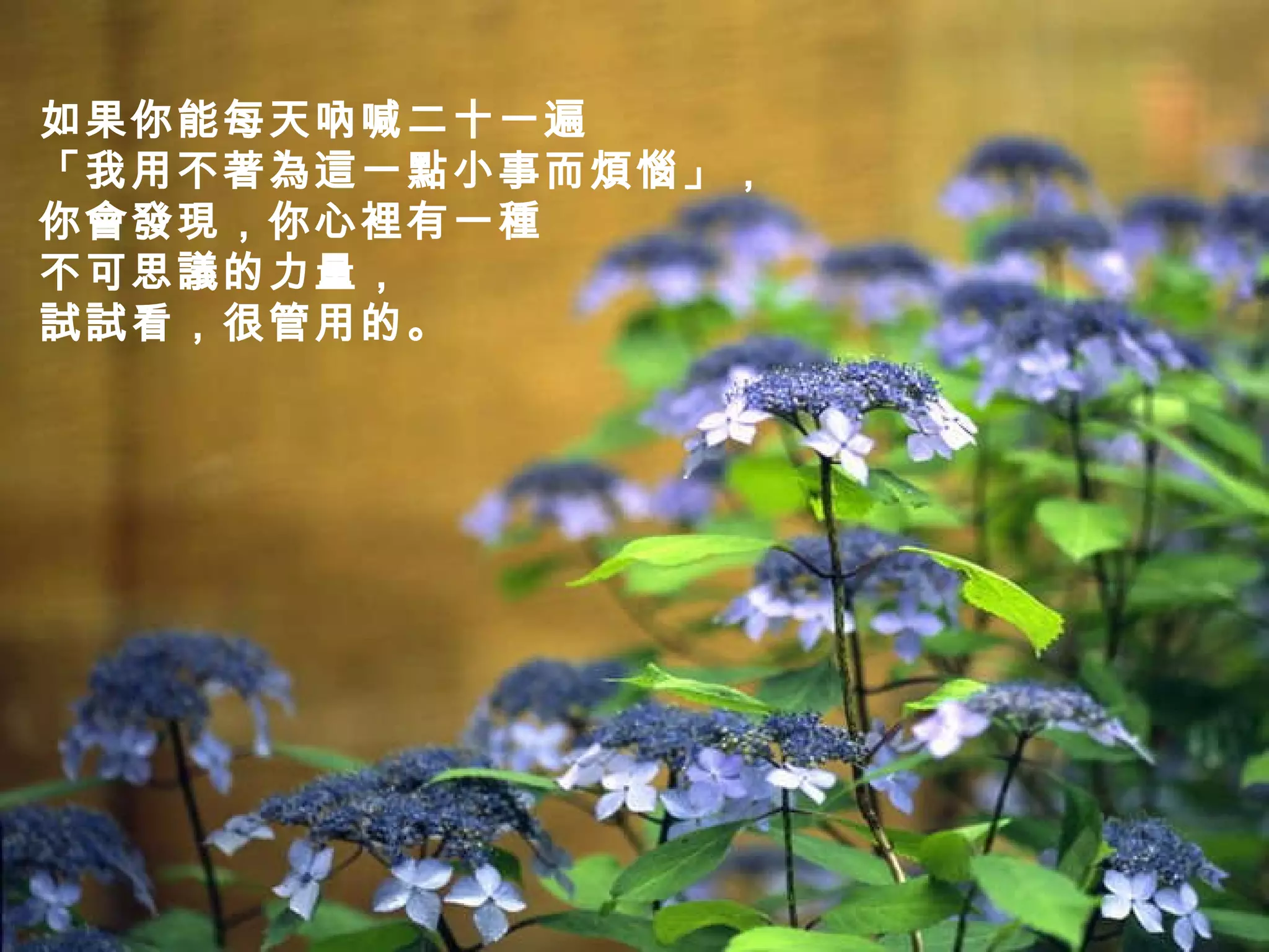 如果你能每天吶喊二十一遍 「我用不著為這一點小事而煩惱」， 你會發現，你心裡有一種 不可思議的力量， 試試看，很管用的。   