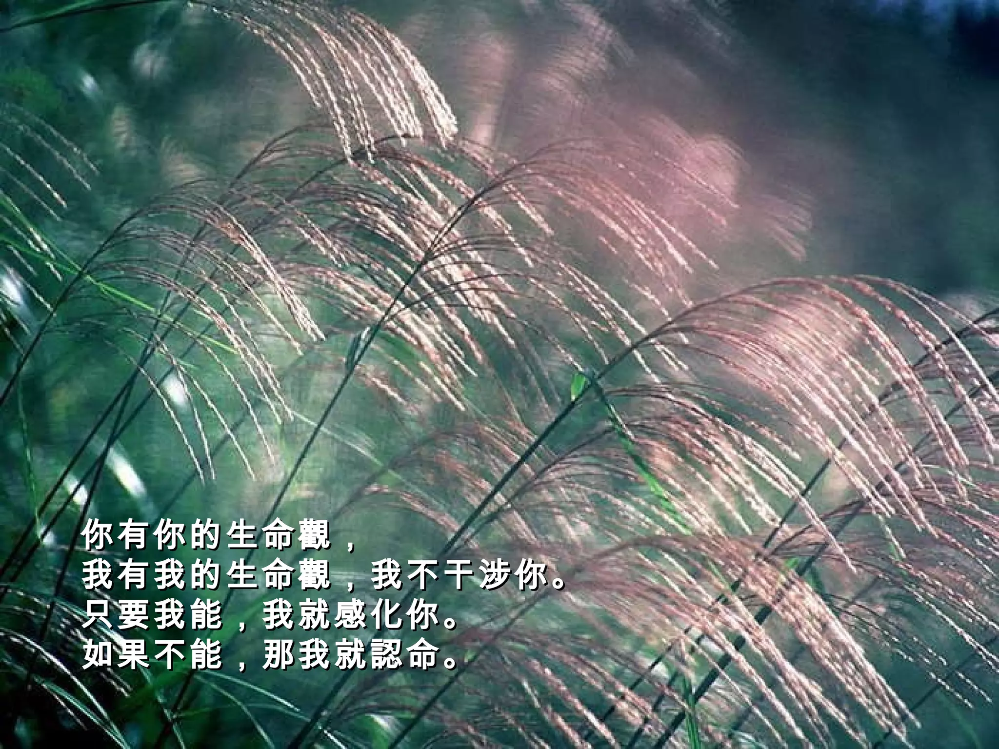 你有你的生命觀， 我有我的生命觀，我不干涉你。 只要我能，我就感化你。 如果不能，那我就認命。   