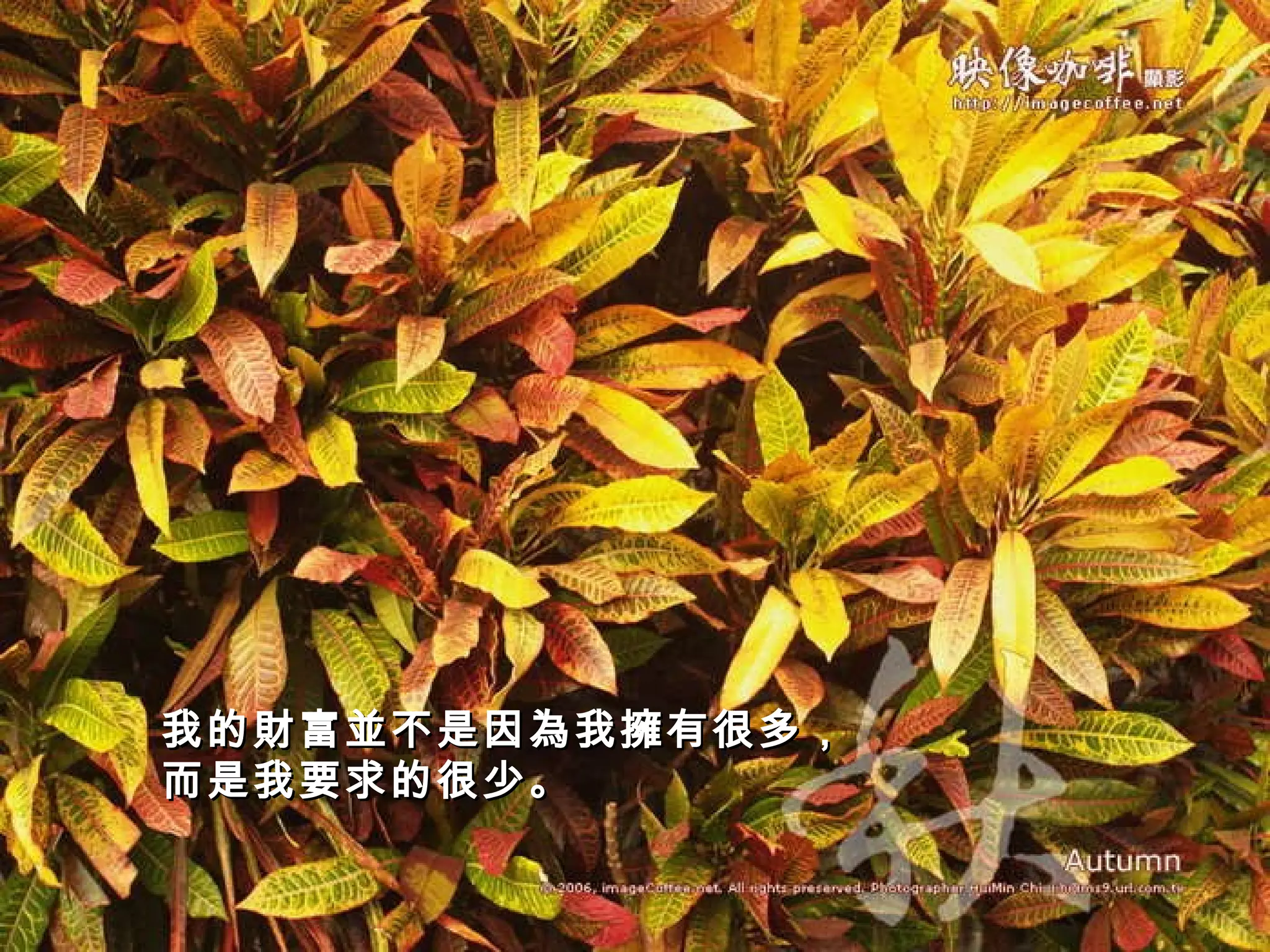 我的財富並不是因為我擁有很多， 而是我要求的很少。   