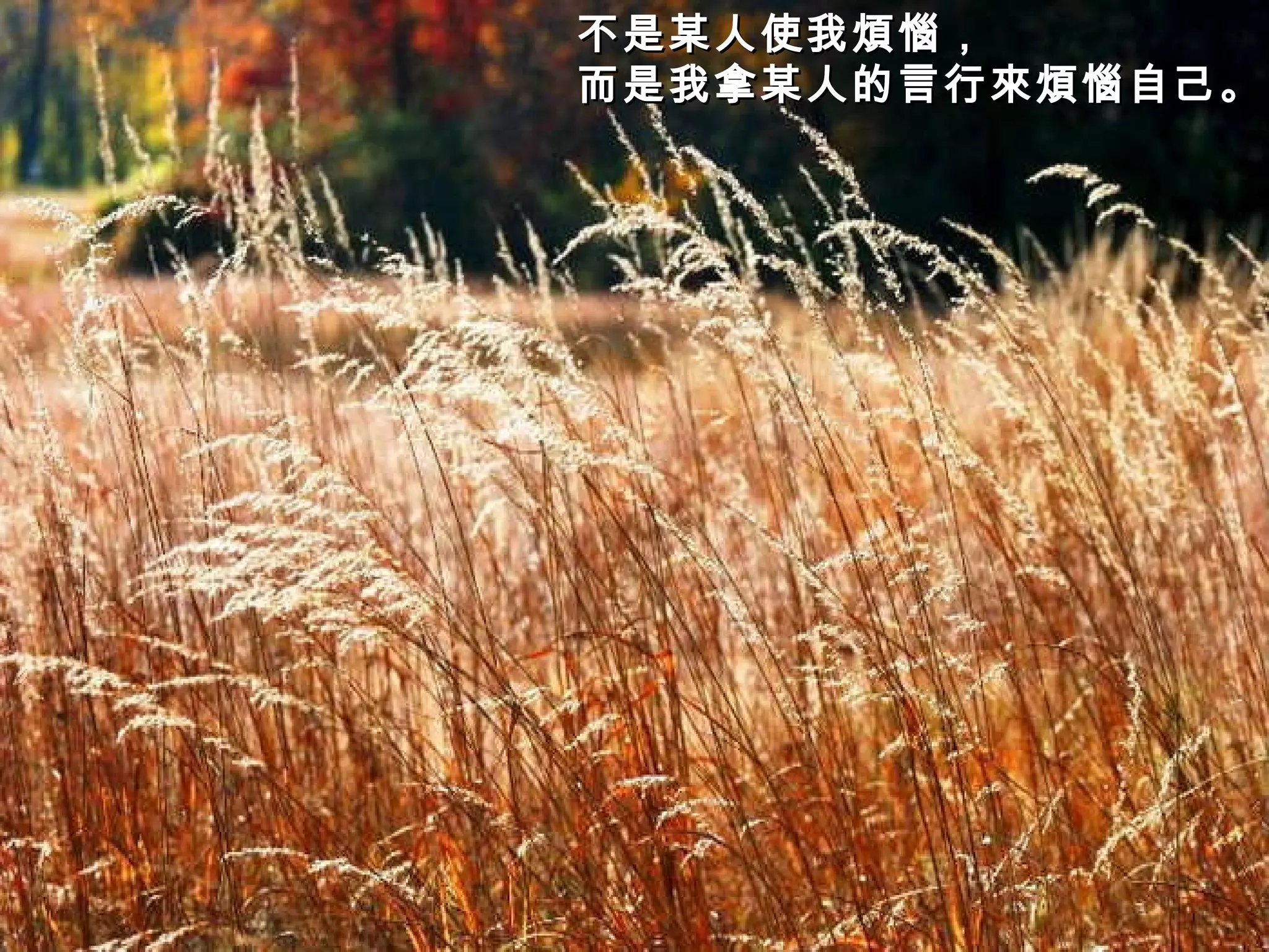 不是某人使我煩惱， 而是我拿某人的言行來煩惱自己。   