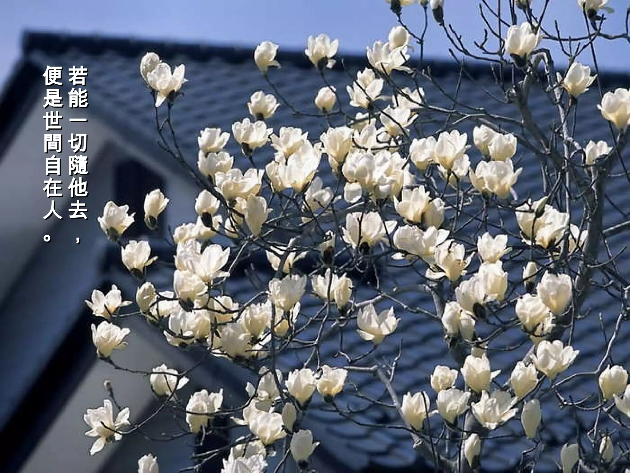 若能一切隨他去， 便是世間自在人。   
