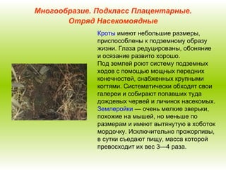 Многообразие. Подкласс Плацентарные. Отряд Насекомоядные Кроты  имеют небольшие размеры, приспособлены к подземному образу жизни. Глаза редуцированы, обоняние и осязание развито хорошо. Под землей роют систему подземных ходов с помощью мощных передних конечностей, снабженных крупными когтями. Систематически обходят свои галереи и собирают попавших туда дождевых червей и личинок насекомых. Землеройки  — очень мелкие зверьки, похожие на мышей, но меньше по размерам и имеют вытянутую в хоботок мордочку. Исключительно прожорливы, в сутки съедают пищу, масса которой превосходит их вес 3—4 раза.  