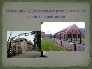 Освенцим - одно из самых печальных мест на лице нашей земли 