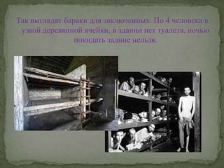 Так выглядят бараки для заключенных. По 4 человека в узкой деревянной ячейки, в здании нет туалета, ночью покидать задние нельзя.