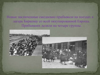 Новые заключенные ежедневно прибывали на поездах в лагерь Биркенау со всей оккупированной Европы. Прибывших делили на четыре группы.