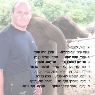 אלבום הנצחה וזיכרון דיגיטלי