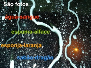 São fotos água-sangue ,  espuma-alface , esponja-laranja , sabão-dragão . 