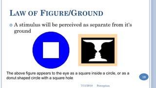 Perception | PDF