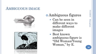 Perception | PDF