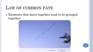 LAW OF COMMON FATE
   Elements that move together tend to be grouped
    together




                                   ...