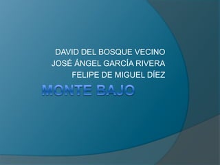 MONTE BAJO DAVID DEL BOSQUE VECINO JOSÉ ÁNGEL GARCÍA RIVERA FELIPE DE MIGUEL DÍEZ 