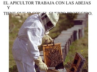 EL APICULTOR TRABAJA CON LAS ABEJAS  Y  TIENE QUE IR CON EL CUERPO PROTEGIDO. 