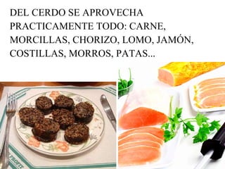 DEL CERDO SE APROVECHA PRACTICAMENTE TODO: CARNE,  MORCILLAS, CHORIZO, LOMO, JAMÓN, COSTILLAS, MORROS, PATAS... 