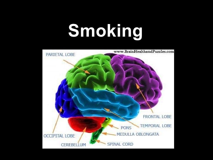 12 Steps To Damage Your Brain