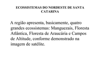 ECOSSISTEMAS DO NORDESTE DE SANTA CATARINA A região apresenta, basicamente, quatro  grandes ecossistemas: Manguezais, Floresta Atlântica, Floresta de Araucária e Campos de Altitude, conforme demonstrado na imagem de satélite. 