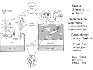 Fonte: ODUM, (1975:29) e MOTA (1997).   Produtores  (ou autótrofos) –  vegetação na terra e fitoplnacton na água   Consumidores  (ou heterótrofos)  Cadeia Alimentar ou trófica = Transferência de energia e matéria = 