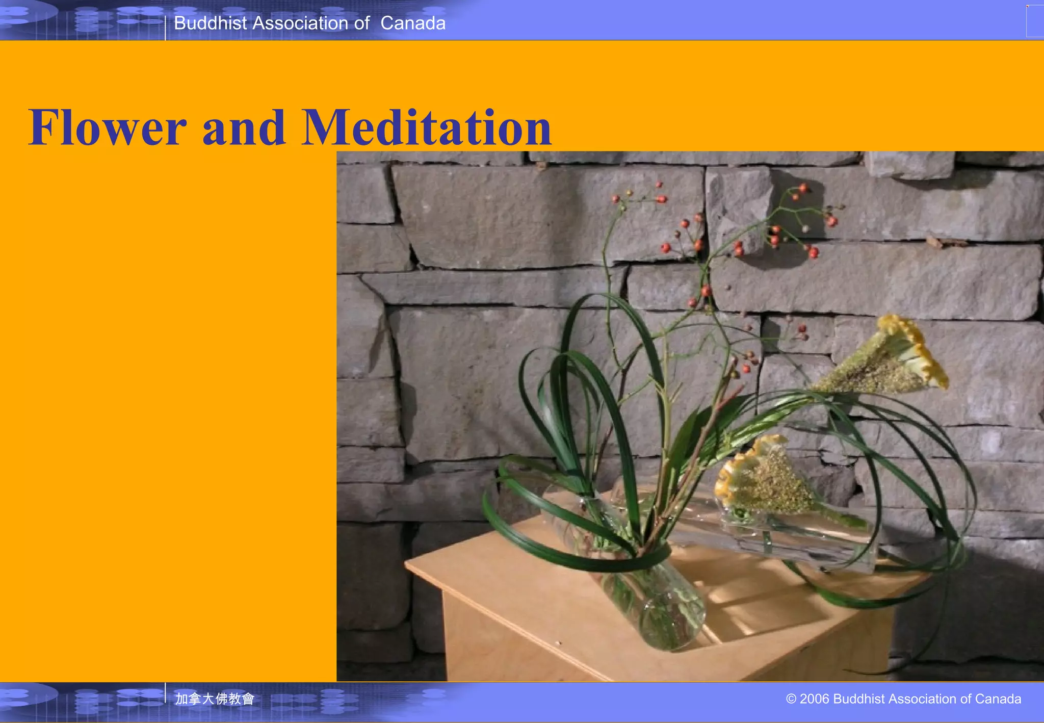 Flower and Meditation 