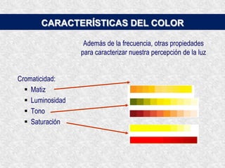 ANOMALÍAS VISUALES MÁS FRECUENTESMIOPÍA: es la incapacidad de enfocar objetos lejanos porque el cristalino está demasiado abombado y no se puede estirar para enfocar. 