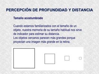 Si solo se ven objetos lisos y en un plano no hay disparidad retiniana. 