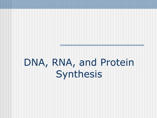 DNA, RNA, and Protein Synthesis 