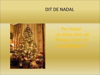 DIT DE NADAL Per Nadal un arbre com cal Perque si no, no  Es  NADAL!!!   