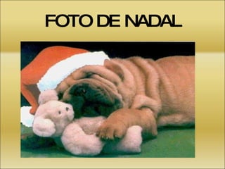 FOTO DE NADAL 