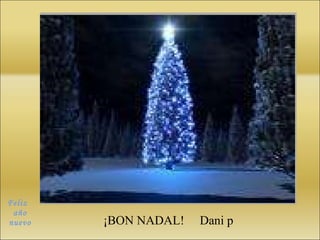 Feliz  año nuevo ¡BON NADAL!  Dani p 