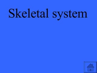 Skeletal system 