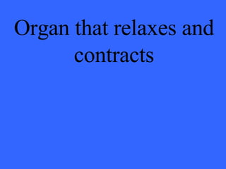 Organ that relaxes and contracts 